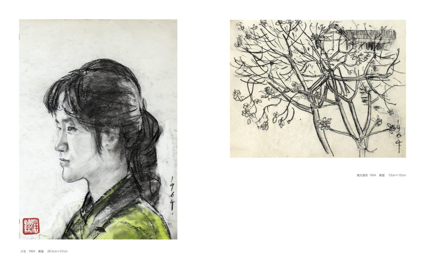 汪钰林作品集精选 · 人物与南方速写